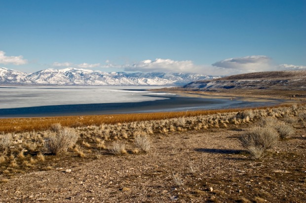 Antelope Island, Utah: Wind the window down on the causeway over to Antelope Island and you soon know about the, ahem, ...