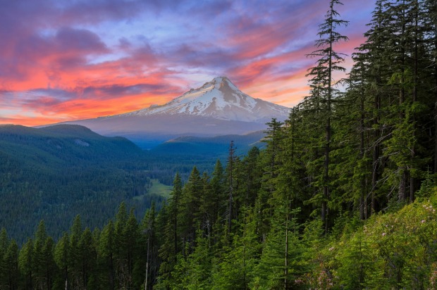 Majestic View of Mt. Hood on a bright, colorful sunset during the summer months.