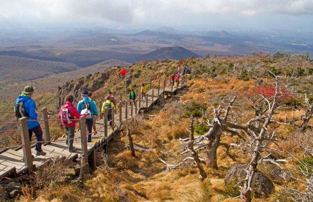 Hikers on Hallasan, the highest mountain in South Korea. Seven hiking trails ascend its slopes, though only two ...