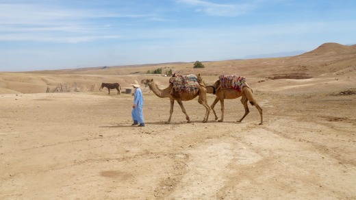 Scarabeo Camp, Marrakech.