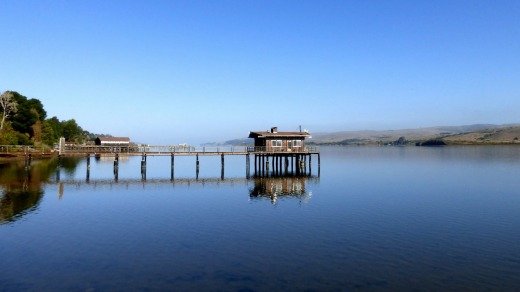 Tamales Bay.