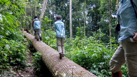 Trekking in the Gunung Leuser National Park with Johan and Udin.