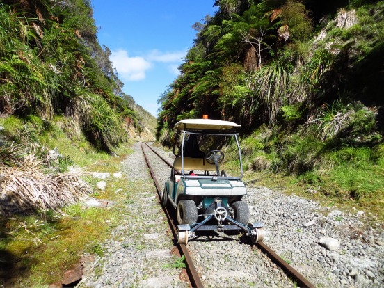 RAILWAY BUGGYING: What do you do when an old branch railway line is closed down? Why, you adapt golf carts to run along ...