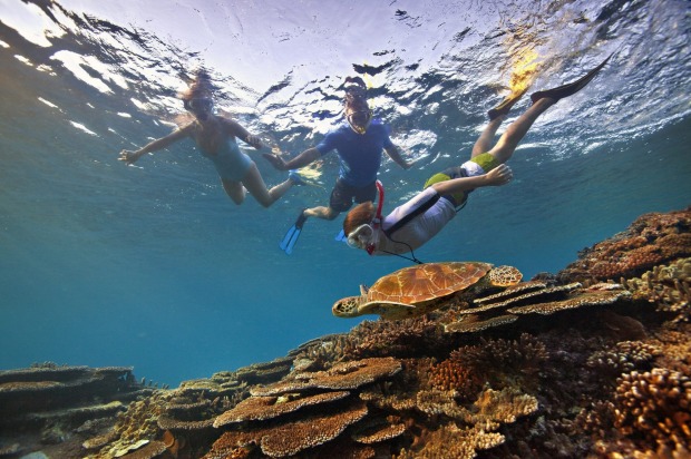 Made up of 2900 individual reefs and 900 islands, the UNESCO World Heritage Listed Great Barrier Reef off Australia ...