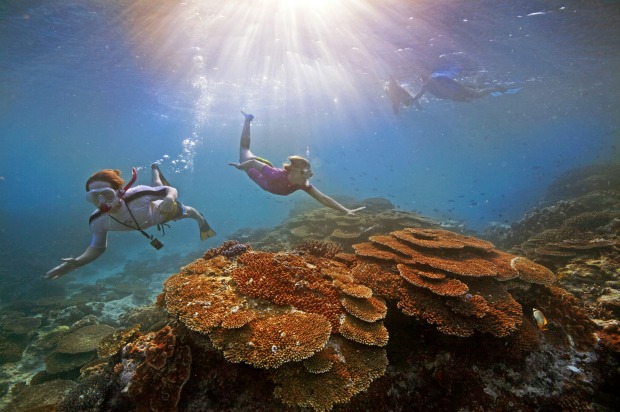 Made up of 2900 individual reefs and 900 islands, the UNESCO World Heritage Listed Great Barrier Reef off Australia ...