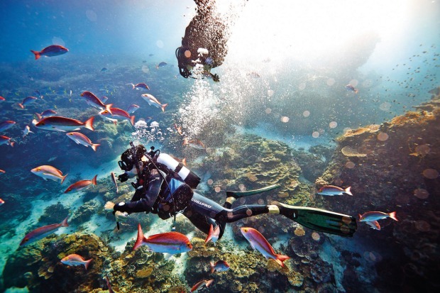 Heron Island, Great barrier reef: Made up of 2900 individual reefs and 900 islands, the UNESCO World Heritage Listed ...