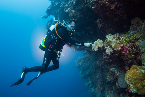 Made up of 2900 individual reefs and 900 islands, the UNESCO World Heritage Listed Great Barrier Reef off Australia ...