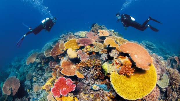 Made up of 2900 individual reefs and 900 islands, the UNESCO World Heritage Listed Great Barrier Reef off Australia ...