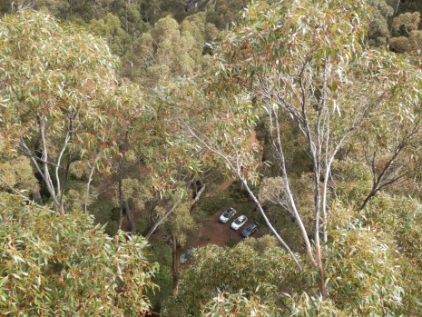 There are indeed some tremendous views. It's a horizon of treetops, showing just how relatively untouched by man this ...