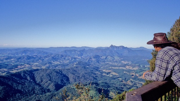 A tourist looks out from the Best of All Lookout in Springbrook National Park.