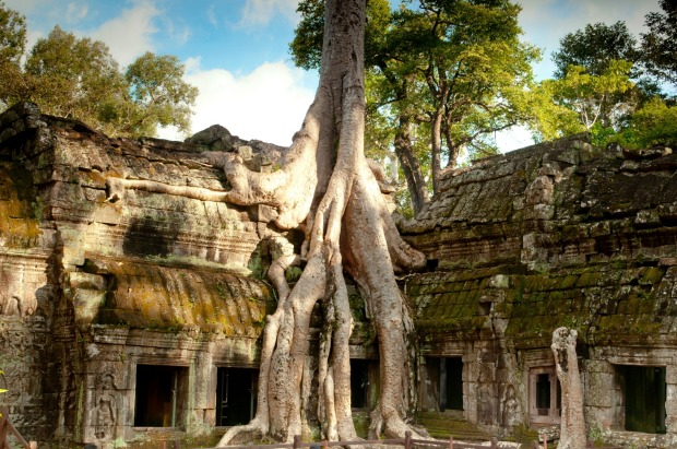 Ta Prohm, Cambodia: Everyone goes to Siem Reap to see Angkor Wat, and everyone leaves talking about Ta Prohm. This is ...