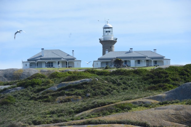Montague island lighthouse.