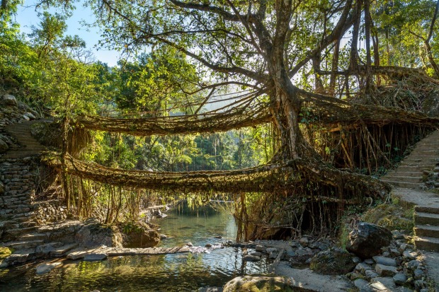 The spectacular two-storey Umshiang Bridge outside the village of Nongriat, about 10km south of the town of Cherrapun. ...