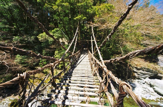 This rope bridge across Shikoku's Iya River is woven from wisteria wines with planks spaced every 20 to 30cm, and ...