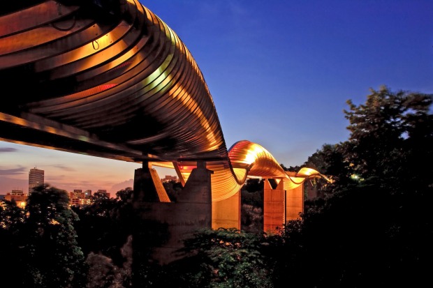 Singapore's Henderson Waves bridge connects two of the island state's green spaces, Telok Blangah Hill Park and Mount ...