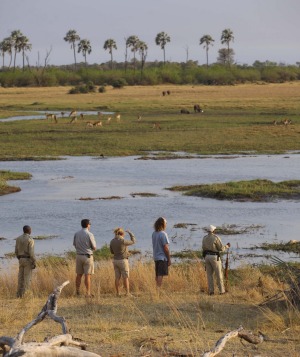 Viewing wildlife outside Sandibe Lodge.