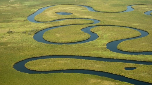 The meandering Okavango River.