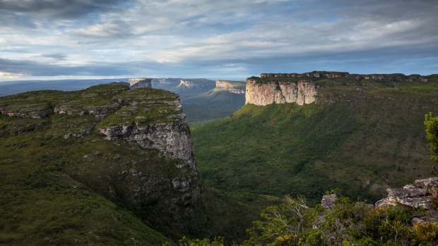 Brazil's real wild side.