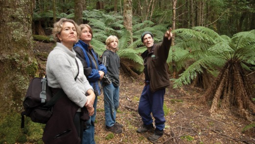 Forest Walks Lodge guests on a guided walk of old growth eucalypt forest on Quamby Bluff.
