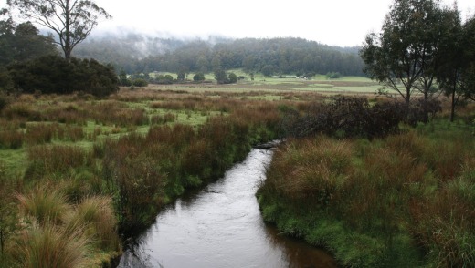 The landscape of the Great Western Tiers.