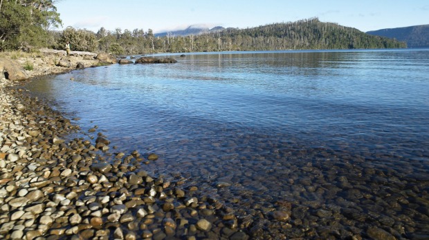 There are lovely short walks at Lake St Clair.