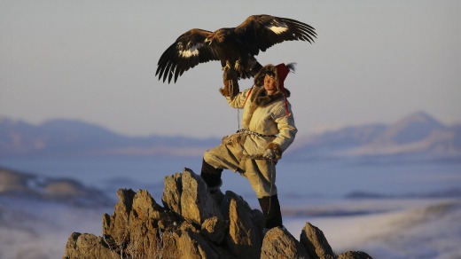 A Kazakh golden eagle hunter flies his majestic eagle from a mountain summit in Western Mongolia.