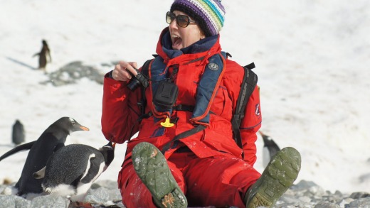 Gentoo penguins check out the visitors   at Cuverville Island.