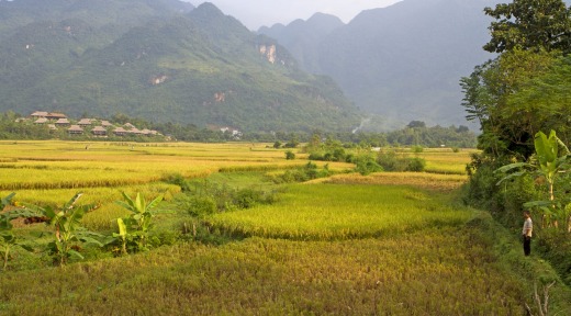 Rice fields and a village near Mai Chau.