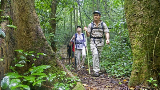 Hiking through Cuc Phuong National Park.