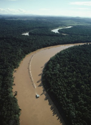 An aerial view of the Kinabatangan River.