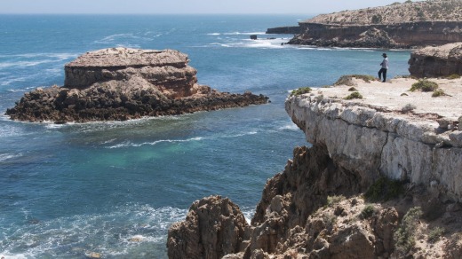 Coast at Cape Bauer, Eyre Peninsula.