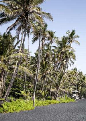 Punalu'u,Hawaii's Big Island.