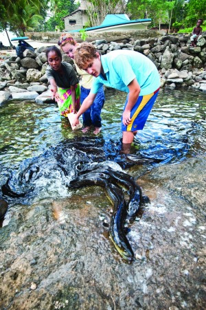 Eel calling and hand feeding on Marovo Lagoon, New Georgia.