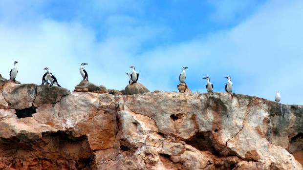 DIRK HARTOG ISLAND, WESTERN AUSTRALIA: Almost 400 years ago (October 25, 1616), a young Dutchman named Dirk stepped ...