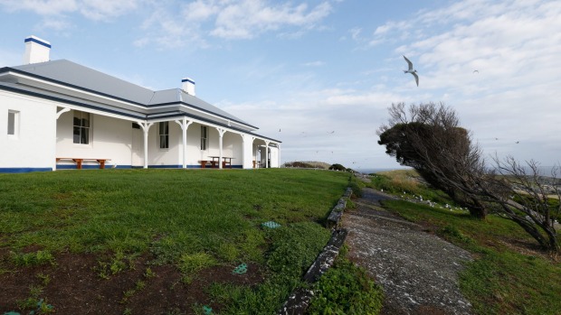 MONTAGUE ISLAND, NEW SOUTH WALES: Montague Island Nature Reserve, near Narooma on the south coast of NSW, is home to ...