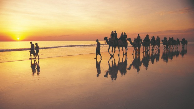 If you get tired, try hitching a ride on one of the camel trains that meander along the beach every morning and ...