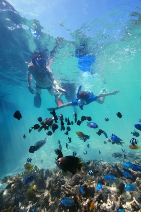 Aore Island Resort, Vanuatu.