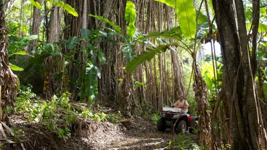 Exploring the interior of Pitcairn Island  on a quad bike.