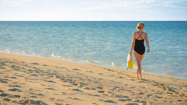 Heron Island: A laidback escape for nature lovers.