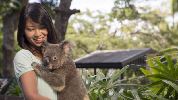 Learn more about marsupials at Wild Life Hamilton Island.