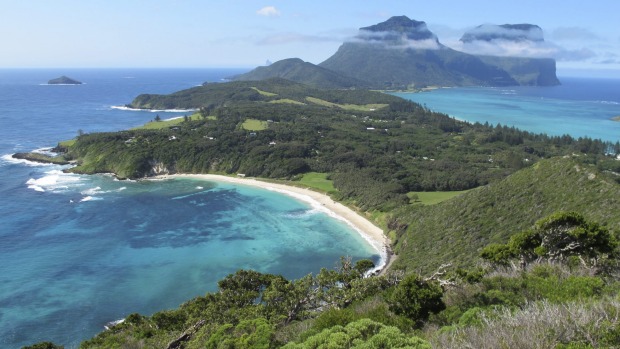 An aerial view of Ned's Beach.