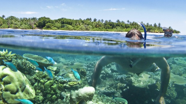 Vomo Lai Lai, Fiji. Terrific snorkelling is available.