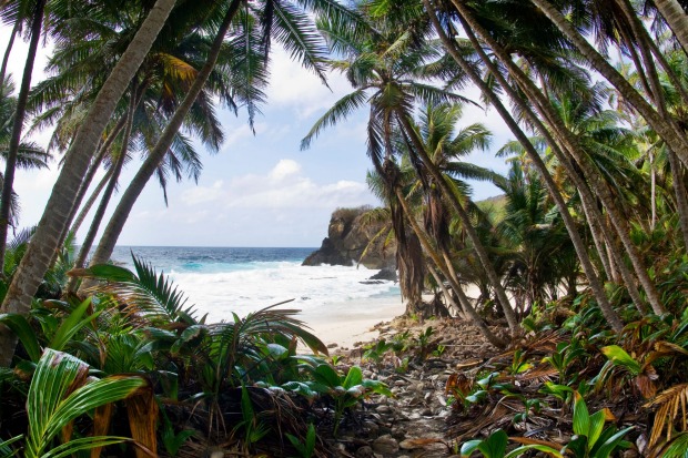 Dolly Beach, Christmas Island. It is usually the local detention centre that makes headlines, but for naturalists such ...