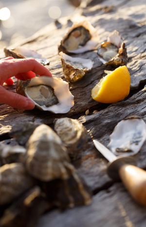 Shucking oysters on one of Coral Expeditions' new Tasmania itineraries.