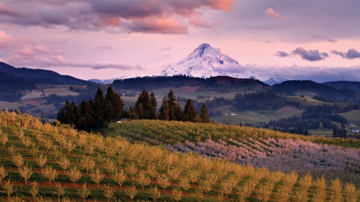 A sunset view from the Hood River of farmland near The Dalles.