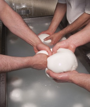 Buffalo mozzarella production is mostly done by hand.
