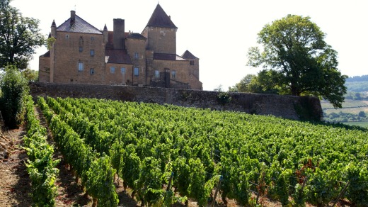 Chateau de Pierreclos.