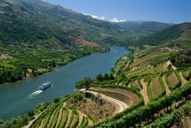 Cruise ship pass through Douro valley near Peso da Regua, the Alto Douro, Portugal.