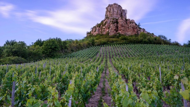 Solutre Rock, with Pouilly Fuisse vineyard at the foot of the rock.