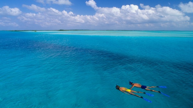 A snorkeller drifts past in azure waters.